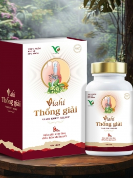 Viahi Thống Giải
