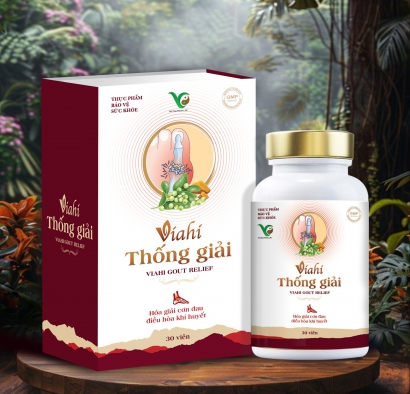 Viahi Thống Giải